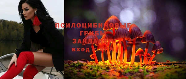 первитин Арсеньев