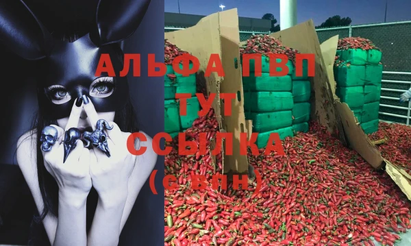 прущие крисы Армянск